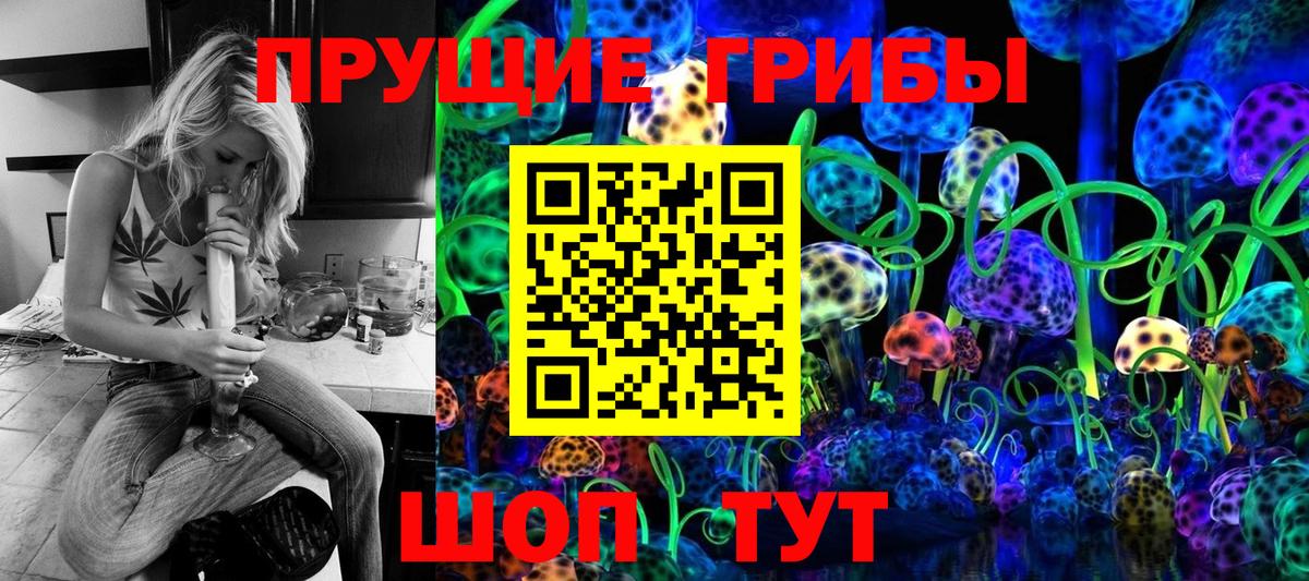 Псилоцибиновые грибы Psilocybe Сальск