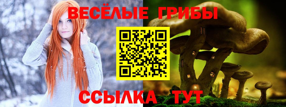 Галлюциногенные грибы Magic Shrooms  Вход с VPN  Сальск 